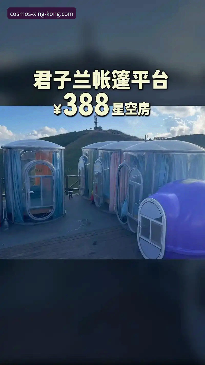 星空互动玩法怎么样？亚洲直营平台能否满足玩家多元化需求？